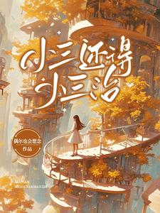 小三的小三